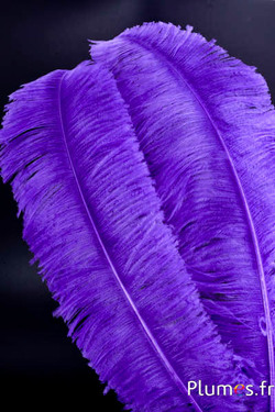 Struisvogel gesneden - 50-60 cm - paars